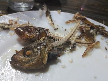 Close-up of fishes in plate