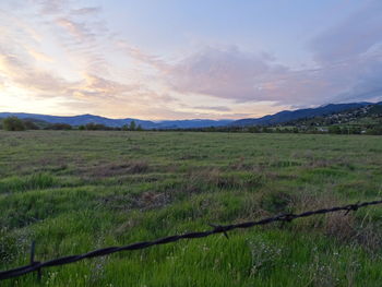 Scenic view of field against sky during sunset