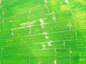 Full frame shot of green wall