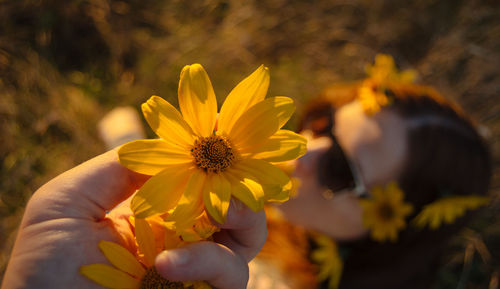 Close-up of yellow flower blooming outdoors