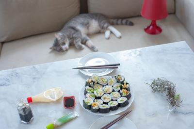 High angle view of cat in plate on table