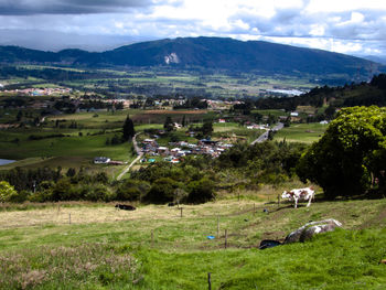 Scenic view of field and houses against sky