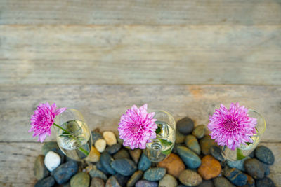 High angle view of pink flower on table