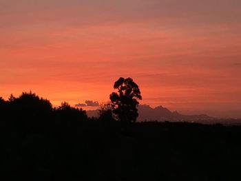 Silhouette trees on landscape against orange sky