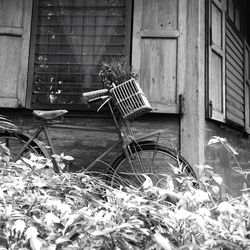 Chairs outside house