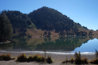 Scenic view of lake by trees against clear sky