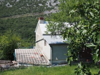 House amidst trees and plants growing on field