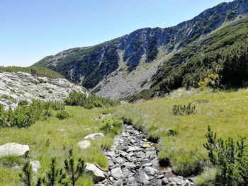 Scenic view of stream against clear sky