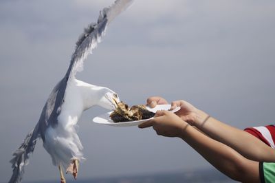 Close-up of man holding hands against sky