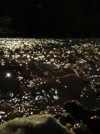 Close-up of tree at night