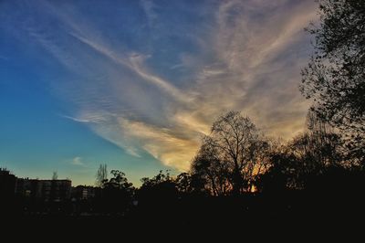 Silhouette trees against sky during sunset