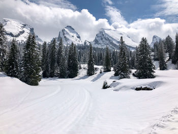 Snow covered land and trees against sky