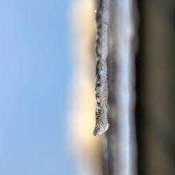 Close-up of ice