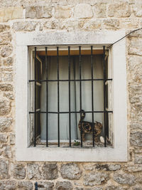 Low angle view of a window