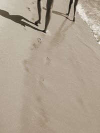 Low section of person standing on beach