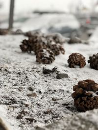 Close-up of stone wall