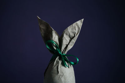 Close-up of blue flower