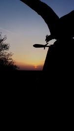 Low angle view of silhouette trees against sky at sunset