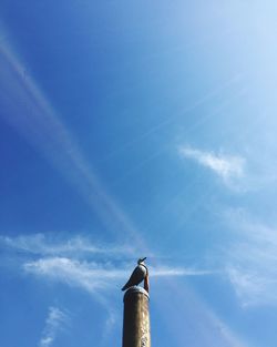 Low angle view of vapor trail against blue sky