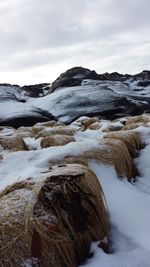 Snow covered rocks and hay against sky