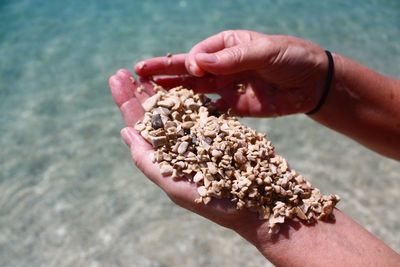 Cropped hand holding stones at beach