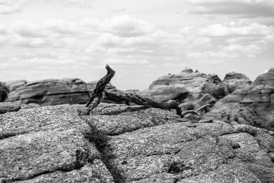 Close-up of rock formation by sea against sky