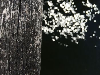 Low angle view of trees