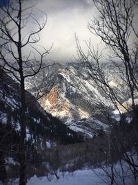 Snow covered landscape
