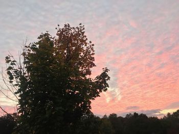 Low angle view of silhouette tree against sky during sunset