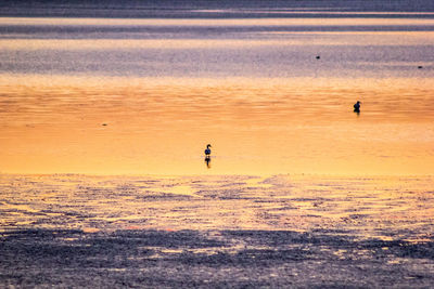 Silhouette people on beach against sky during sunset