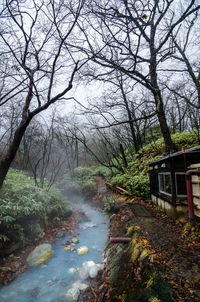 River amidst trees in forest against sky