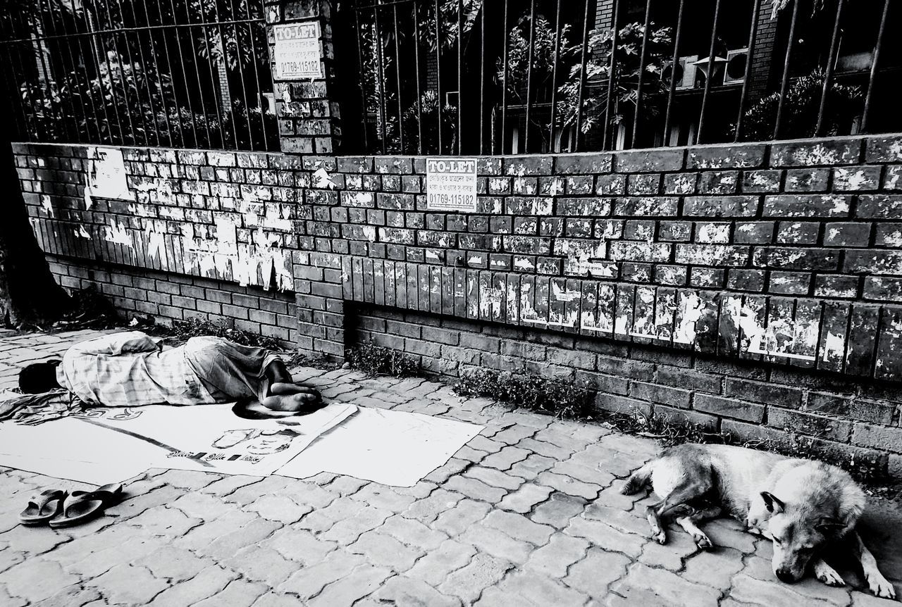 domestic animals, domestic, mammal, pets, dog, canine, one animal, vertebrate, relaxation, real people, people, men, city, street, day, footpath, social issues