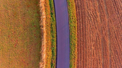 High angle view of agricultural field