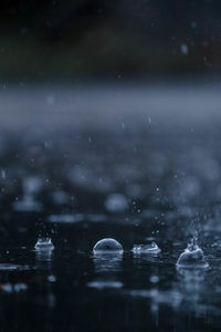 Close-up of raindrops falling on water