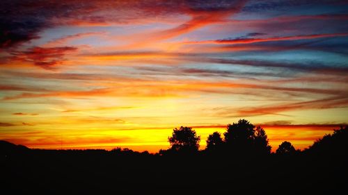Silhouette trees against dramatic sky during sunset