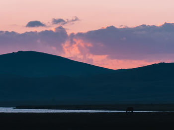 Silhouette horse grazing by lake at sunset