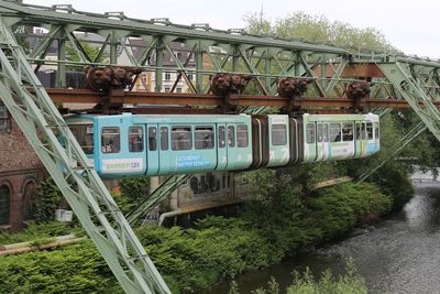 Train by trees against sky