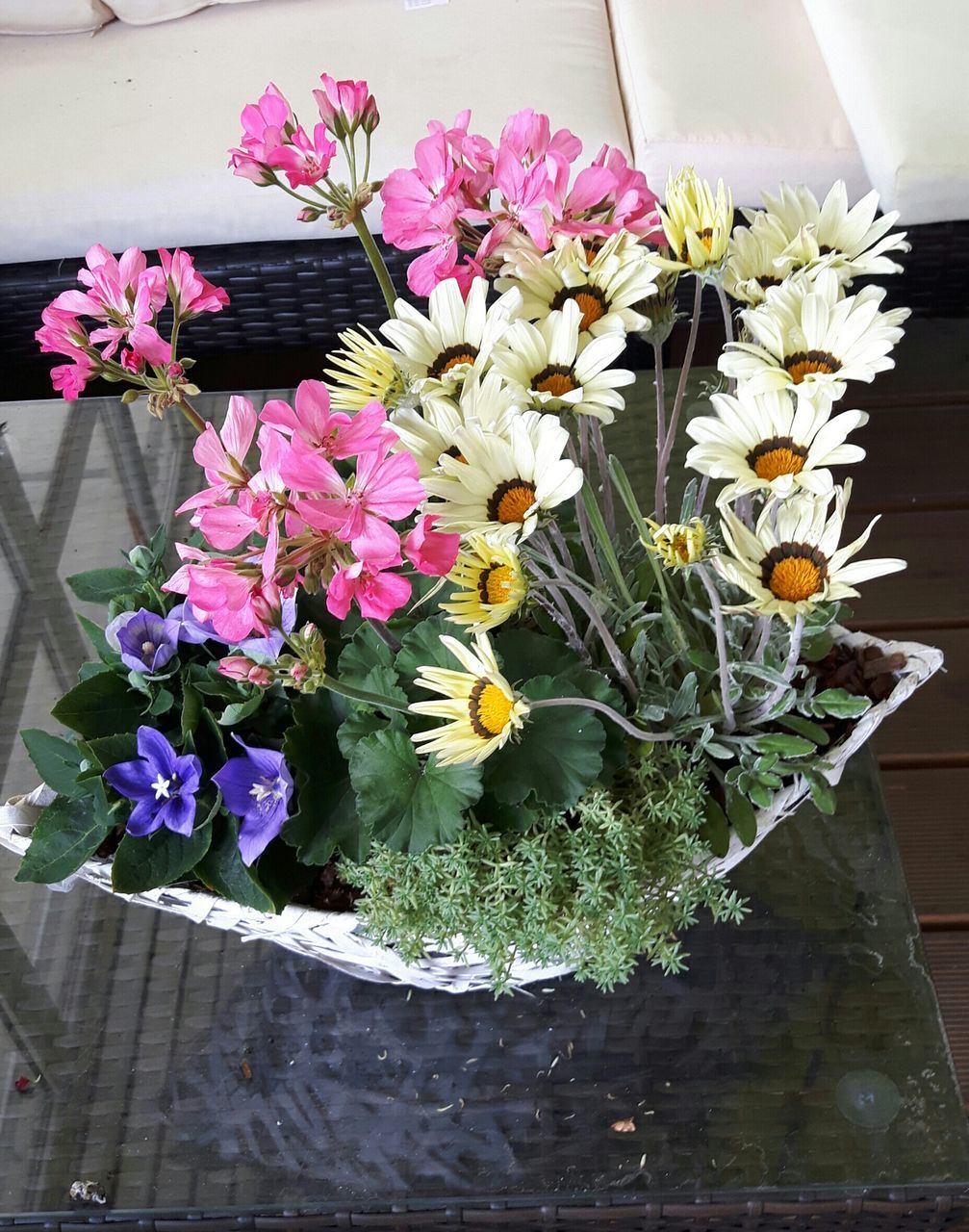 CLOSE-UP OF FLOWERS IN VASE