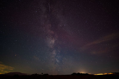 Low angle view of star field against sky at night