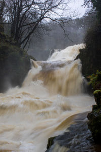 Scenic view of river flowing through rocks