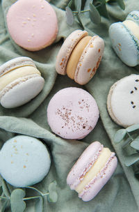 Beautiful colorful tasty macaroons and eucalyptus on a textile background