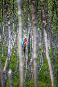 Person seen through trees