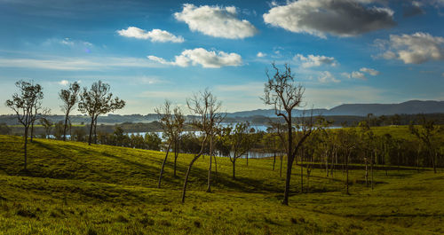 Scenic view of rural landscape