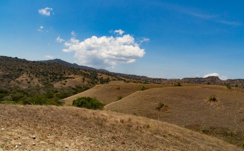 Scenic view of landscape against sky