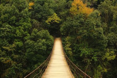 Empty footbridge against forest