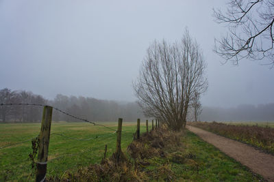 Bare trees on field against sky