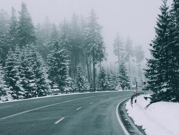 Road amidst trees in forest during winter