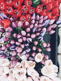 Full frame shot of pink flowers at market