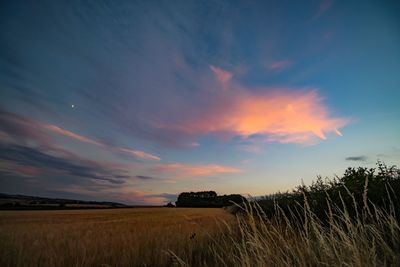 Scenic view of field against sky during sunset