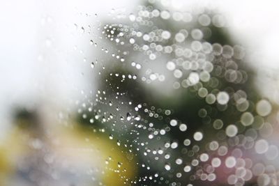 Waterdrops on glass against blurred background